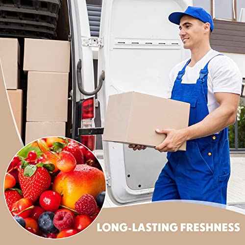 Nuanchu 10 Pieces Insulated Shipping Boxes Double Insulated with Aluminum Foil Liner 9" x 5" x 6" Cold Chill Thermal Insulation Reusable Small Mailing Box for Cold Food, Shipping, Mailing, Packing