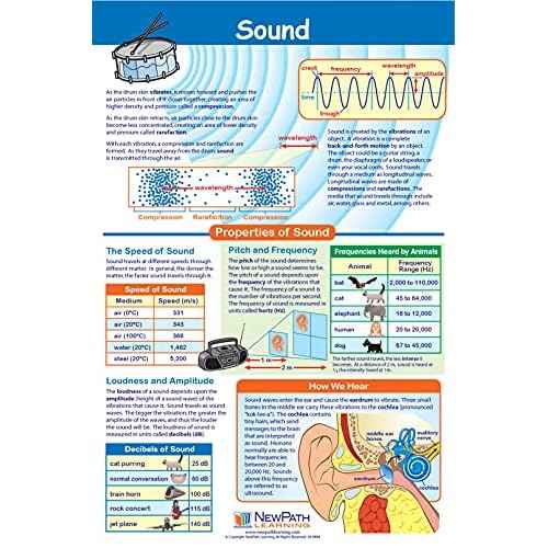 NewPath Physical Science Posters, Set/5 (Forces/Motion, Electricity, Magnetism, Sound, Light) - Laminated, Full-Color, 23" x 35" (34-9901)