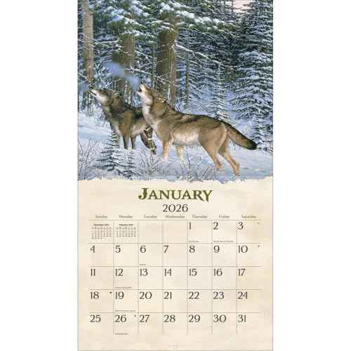 Lang Companies, Beyond the Woods 2026 Wall Calendar by Michael Sieve, 13.4'' X 12'', 12-Month Calendar with Stapled Binding