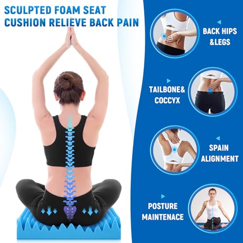 Geiserailie 2 Pcs Egg Foam Pad Egg Chair Cushion to Relieve Back Foam Seat Cushion Chair Accessories Pad for Office Recliner Wheelchair Home Car (Blue)