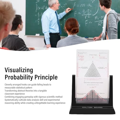 Walfront Galton Board Probability Demonstrator with 2800 Steel Beads – Normal Distribution Teaching Aid