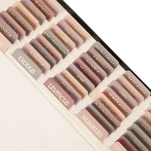 Lumintutu Laminated Bible Tabs, Gold Foil Large Print Lettering, 90 Tabs Bible Study Journaling Supplies, Christian Gift for Women and Men, She Reads Truth Bible (Dusty Rose)