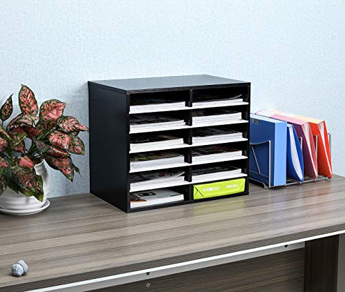 EasyPAG 12 Compartments Wooden Literature Organizer with Adjustable
