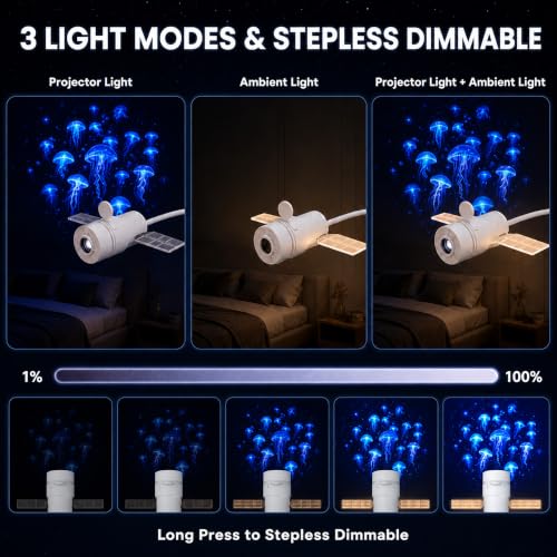 DAXMAIRELOX 5D Holographic Night Light Projector with 10 Films, Dual Auto-Off, USB Ceiling & Wall Decor