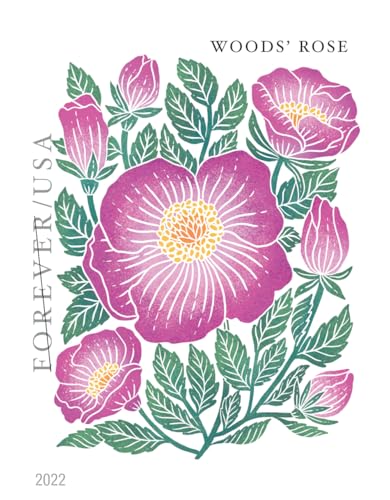 US First Class Forever Postage Stamps - Mountain Flora Wildflowers, 1 Book of 20