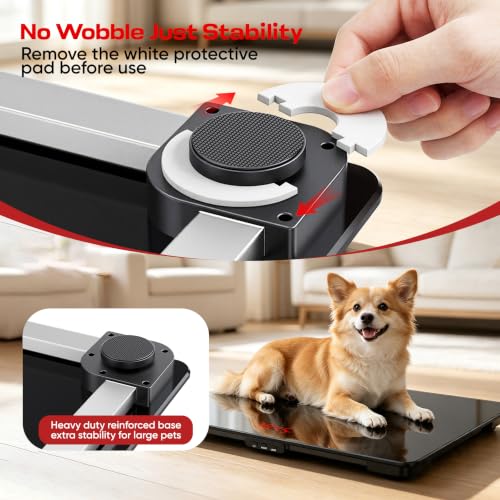RAOYAN Black Dog Scale 220lb Max, 0.01lb Accuracy, Large Platform, Smart Hold & Tare
