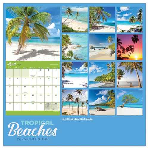 TF Publishing 2026 Tropical Beaches Mini Calendar with Monthly Grids for Appointments and Scheduling - Vertical Small Wall Calendar 2026 w/Premium Gloss Paper for Home and Office Organization - 7x7in
