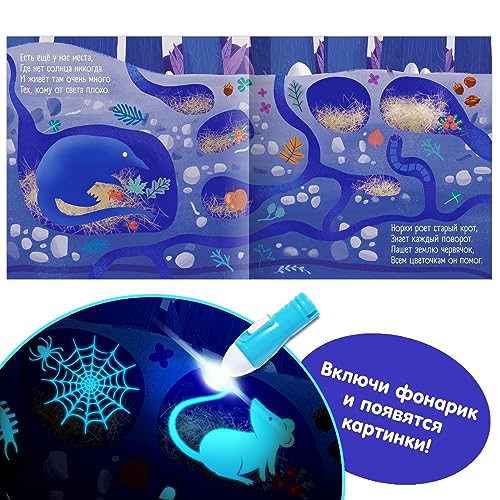 Russian Kids Book with Flashlight - Educational Board Book for Ages 12+