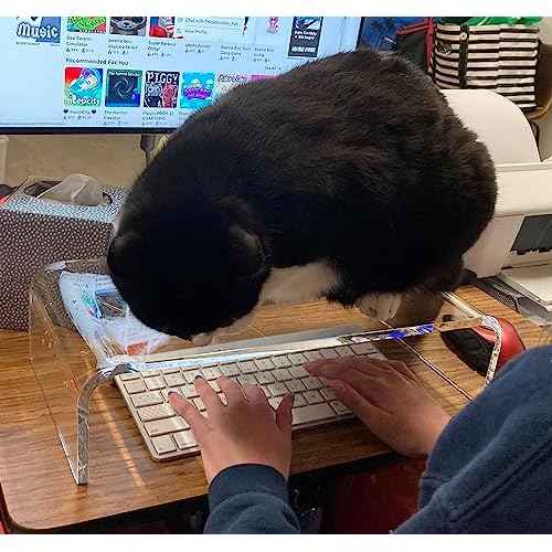 Acrylic Monitor Stand Riser Anti-Cat Laptop Cover Protector, Crystal Clear Laptop Stand, 16 inch Computer Monitor Riser for Home Office