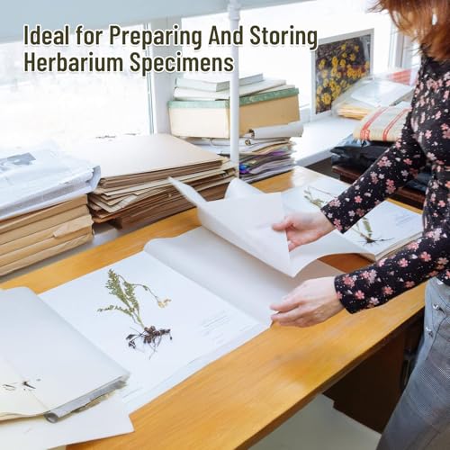 Lineco Acid-Free Herbarium Specimen Newsprint Paper, Pack of 25