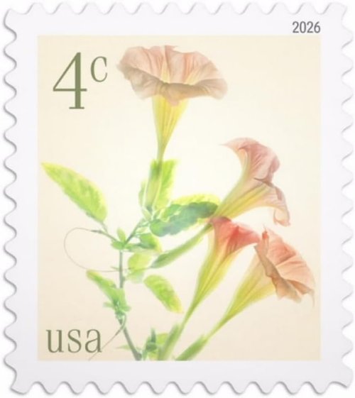 Angel's Trumpets 2026 4-Cent Stamps - Nature Flowers Definitive Mail-Use | Sheet of 20