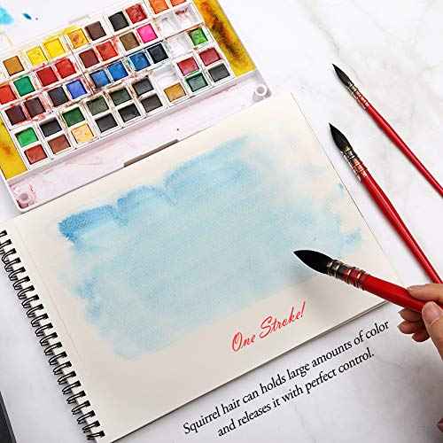 Dainayw Professional Watercolor Paint Brushes, Mop Round Squirrel Hair Paint Brush Set for Art Painting, Gouache, Artist Quality Supplies Red Handle (3 Brushes)