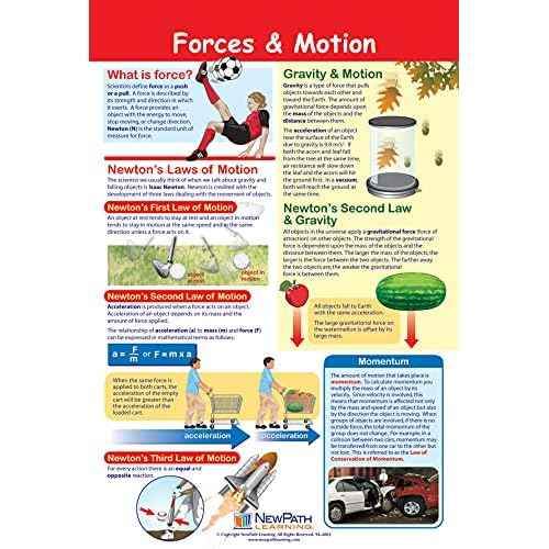 NewPath Physical Science Posters, Set/5 (Forces/Motion, Electricity, Magnetism, Sound, Light) - Laminated, Full-Color, 23" x 35" (34-9901)
