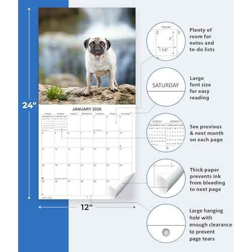 2026 Pugs Monthly Wall Calendar | Dog Calendar 2025-2026