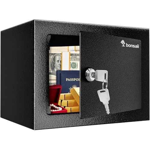 Bonsaii Safe Box with Key Lock, Steel Security Lock Box, 0.23 Cubic Feet, 9.06" W x 6.69" D x 6.69" H, Small Hidden Safe for Cash Jewelry