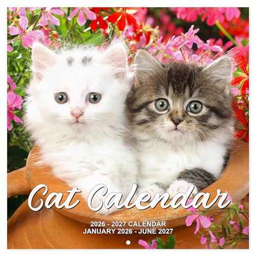 2026-2027 Calendar - 18 Monthly 2026-2027 Wall Calendar from Jan. 2026 - Jun. 2027, Cat Calendar with Unruled Blocks, 12" x 24"(Open) Wall Calendar for Office School Home Planning