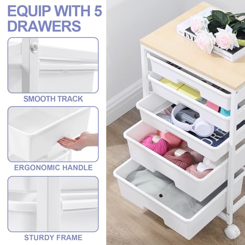 Utility Cart with 5 Drawers,Storage Drawer Cart with Wooden Tabletop and Lockable Wheels,Craft Storage Trolley Cart,5-Tier Rolling Utility Cart on Wheels,Bright White