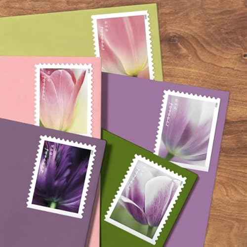 2023 Tulip Blossom Forever First Class Postage Stamp (10 Count Strip) Y