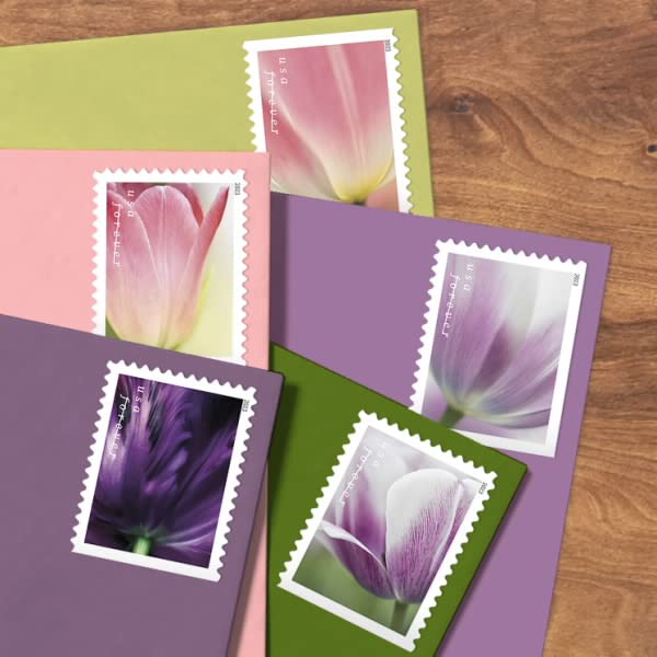 2023 Tulip Blossom First Day Cover Postage Stamp Set - USPS