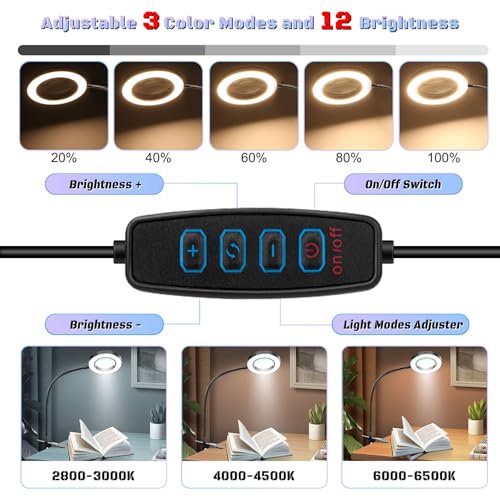 Black 10X LED Lighted Magnifying Glass with Clip & Adjustable Arm