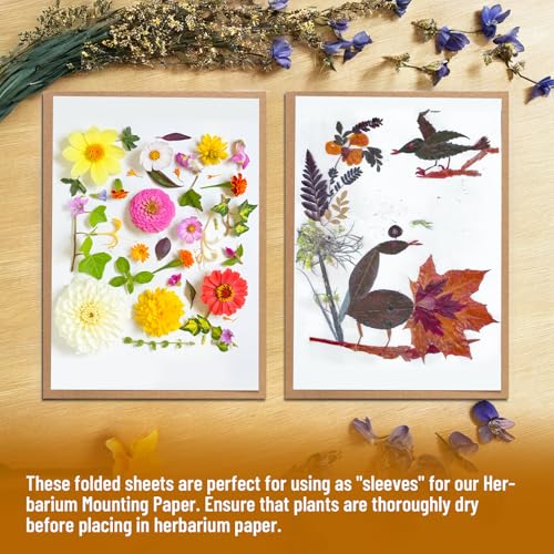 Lineco Acid-Free Herbarium Specimen Newsprint Paper, Pack of 25