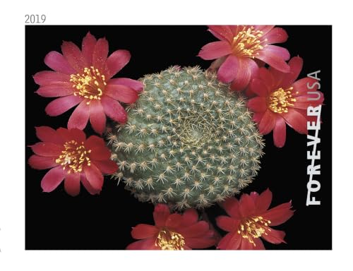USPS Forever First Class Postage Stamps - Cactus Flower Collection, 20 Booklets (100 Stamps)