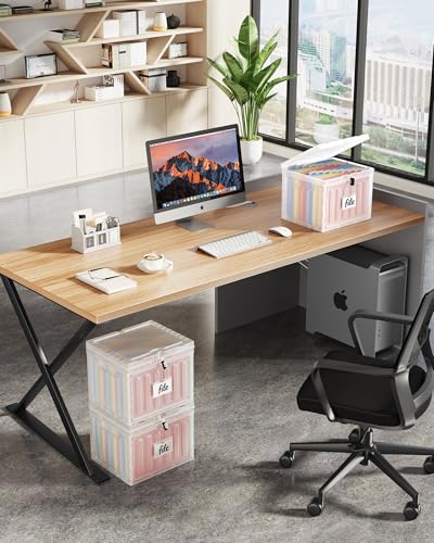 Hueilm Clear 1 Pack Small Plastic File Box with Lid for Letter Size Folders - Stackable, Portable Office/Home