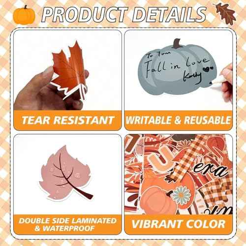 Fall Thanksgiving Bulletin Board Decorations Autumn Leaves Pumpkin Classroom Decor Boho Rainbow Thankful Cutouts Bulletin Border for Fall Harvest Office School Classroom Wall Door Chalkboard Decor