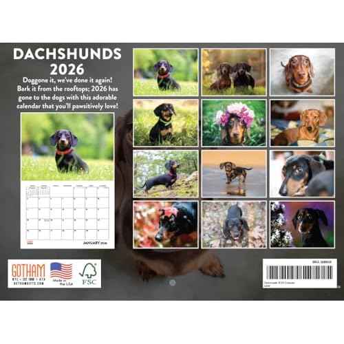 Dachshund Calendar 2026 Monthly Wall Calender 12 Month | American Made In The USA