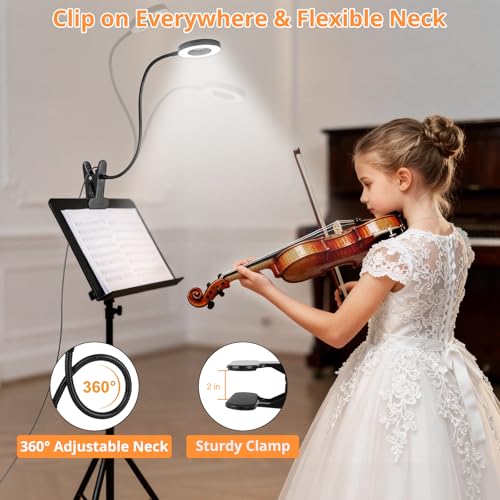 Woputne Black Clip-On Desk Lamp for Reading & Study, 3 Light Modes & Dimmable