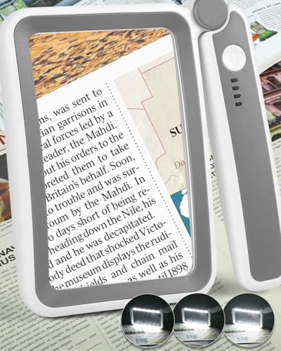 Rechargeable 5X Rectangle Magnifying Glass with Light - Grey & White