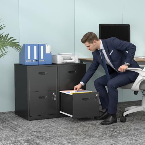 Polup Black 2-Drawer Lockable Metal File Cabinet for Home Office