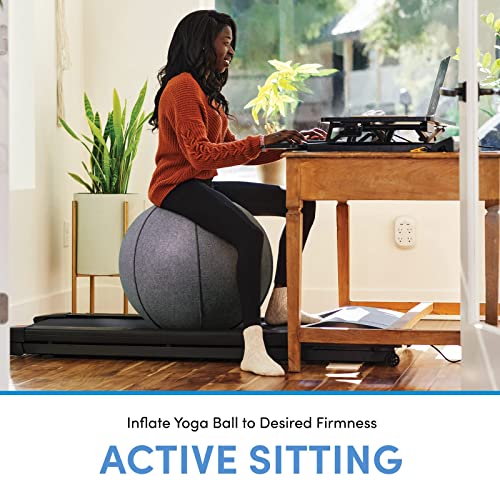 LifeSpan Fitness 25 Inch Anti-Slip Felt Yoga Ball Chair with Handle & Back Support