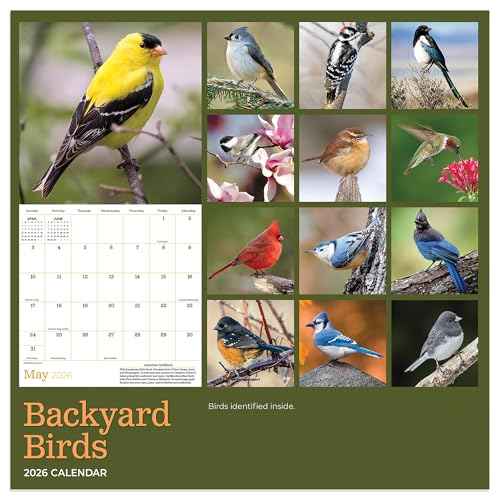 TF Publishing 2026 Backyard Birds Mini Calendar with Monthly Grids for Appointments and Scheduling - Vertical Small Wall Calendar 2026 with Premium Gloss Paper for Home and Office Organization - 7x7in