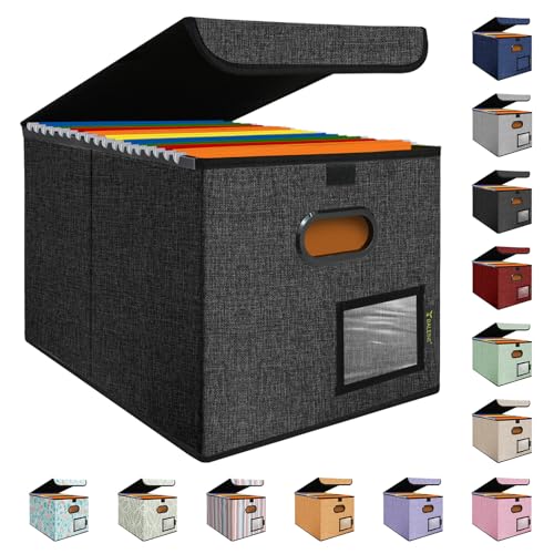 BALEINE File Organizer Box with Lid, Collapsible File Folder Organizer with Plastic Slide, Hanging File Folder Box for Office Document Storage (1 Pack, Black)