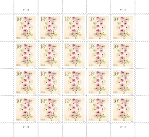 US Postal Service Poppies and Coneflowers 2024 10-Cent Definitive Postage Stamps - 20 Sheets