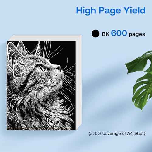 240XL Black Ink Cartridge Combo Pack Replacement Compatible for Canon PG-240XL for PIXMA TS5120 TS5100 MX472 MG3620 MG3600 MG3520 MG2120 MG3222 (2 Black)