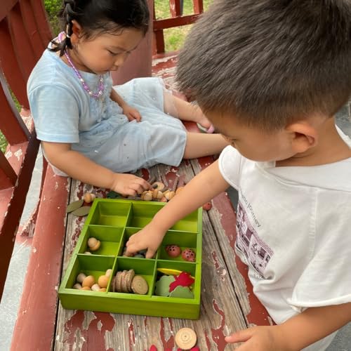 Wooden Sorting & Counting Set with Nature-Themed Pieces and Tray for Kids