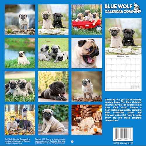 2026 Pugs Monthly Wall Calendar | Dog Calendar 2025-2026
