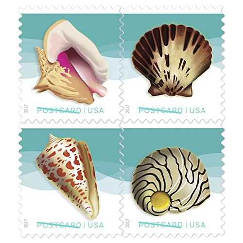 USPS Seashells Postcard Stamps - US Postage Card Stamps (2 Sheets of 20 Stamps)