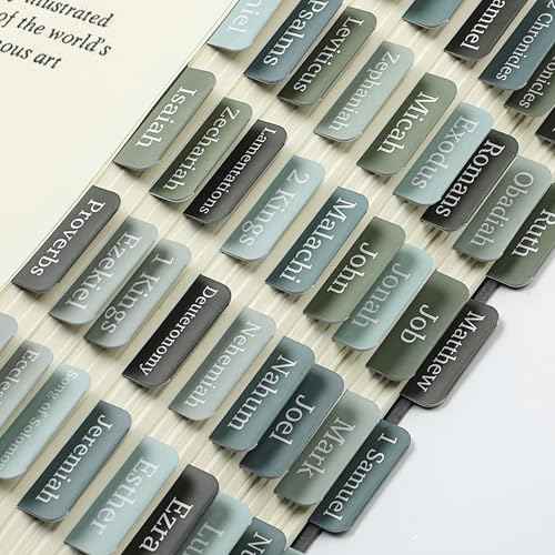Mr. Pen- Bible Tabs, 75 Tabs, Frozen Lake Theme, Laminated Bible Tabs for Women and Men, Bible Tabs for Study Bible, Bible Index Tabs, Bible Book Tabs, Bible Labels Tabs, Mr Pen Bible Tabs