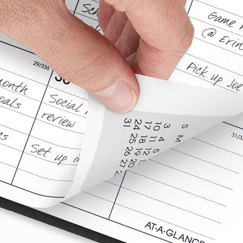 AT-A-GLANCE 2026 Planner, Monthly, 8" x 12", Large, DayMinder, Black (G4700026)