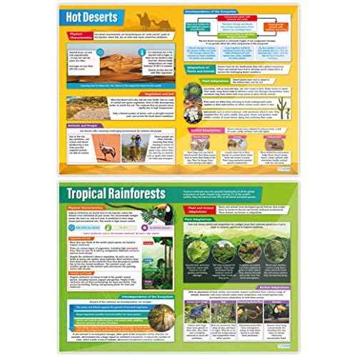 Daydream Education Geography Ecosystems Posters - Set of 6 - EXTRA LARGE 33¡± x 23.5¡± - Gloss Paper - Geography Middle & High School Classroom Decoration - Wall Charts