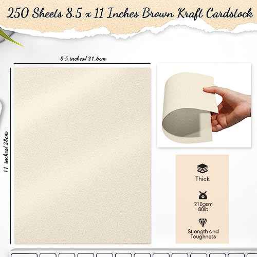 250 Sheets 8.5 x 11 Inch Metallic Paper Shimmer Card Stock 80lb 210 Gsm Double Sided Card Stock Printer Paper for Weddings Birthdays Craft Use Invitations Certificates DIY Cards (Cream)
