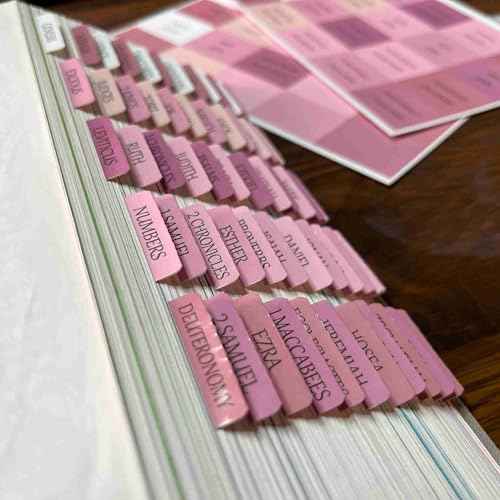 Catholic Bible Tabs, Reposition Laminated Stickers, Easy to Read and Apply Bible Tabs for Women and Man (Catholic Pink)