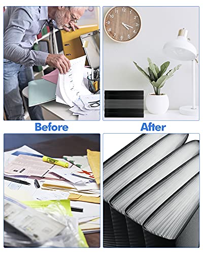 Cesil 13-Pocket Accordion File Organizer with Tabs, Expanding Document Folder