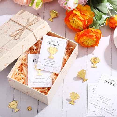 60 Sets Employee Appreciation Gifts Bulk Trophy Pins with Thank You Cards Organza Bags Inspirational Appreciation Recognition Gift for Team Staff Volunteer Student Teacher Nurse (Star)