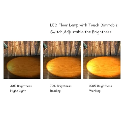 HomeFocus - LED Floor Lamp,Standing Lamp for Reading,Eye-Caring,Stepless Dimming,Floor Lamp for Living Room,Bedroom,LED 5W,Energy Efficient Super Bright (Metal,Gold)