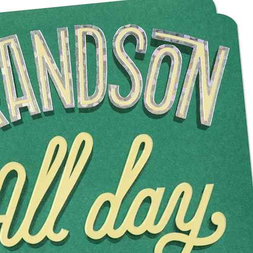 Hallmark Birthday for Grandson (All Day Your Way) from Grandma, Grandpa, Grandparents