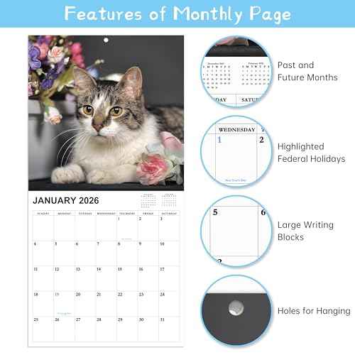 2026-2027 Calendar - 18 Monthly 2026-2027 Wall Calendar from Jan. 2026 - Jun. 2027, Cat Calendar with Unruled Blocks, 12" x 24"(Open) Wall Calendar for Office School Home Planning